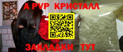 стаф Камышлов