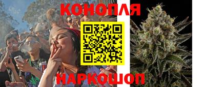 ГАЛЛЮЦИНОГЕННЫЕ ГРИБЫ Кандалакша
