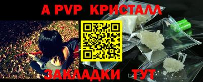 стаф Камышлов