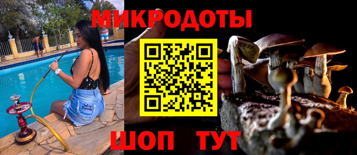 Галлюциногенные грибы мицелий Красный Сулин